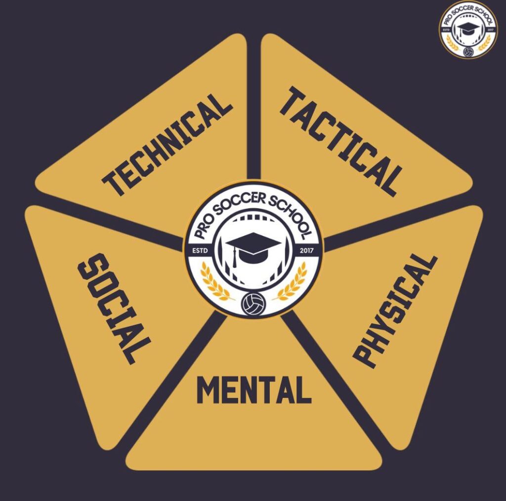 Pro Soccer School Paradigm